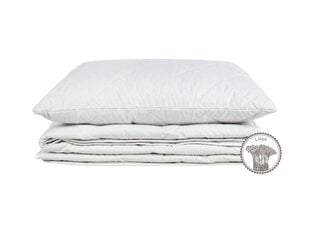 Comco одеяло  с льняным волокном, 200x220см цена и информация | Одеяла | hansapost.ee
