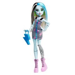 Nukk Monster High hind ja info | Mänguasjad tüdrukutele | hansapost.ee