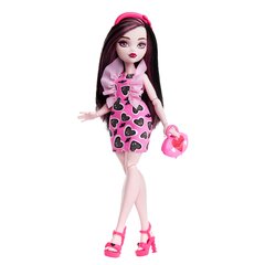 Кукла Monster High цена и информация | Игрушки для девочек | hansapost.ee