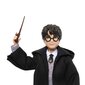 Nukk Harry Potter ja võluri müts Harry Potter hind ja info | Mänguasjad poistele | hansapost.ee