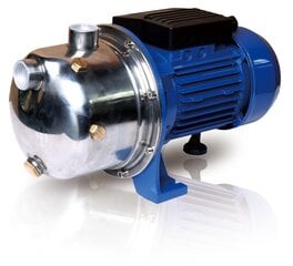 Puhta vee pump Ceva CJETS100B цена и информация | Насосы для чистой воды | hansapost.ee