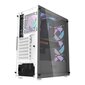 Computer Case Darkflash DK352 Plus with 4 fans (Black & White) цена и информация | Arvutikorpused | hansapost.ee