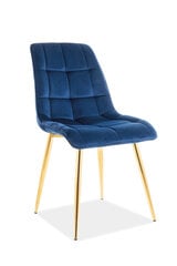 4 tooli komplekt Signal Meble Chic, sinine/kuldne hind ja info | Köögitoolid, söögitoolid | hansapost.ee