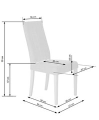 2 tooli komplekt Halmar Diego, roheline цена и информация | Стулья для кухни и столовой | hansapost.ee