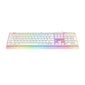 Havit KB876L RGB hind ja info | Klaviatuurid | hansapost.ee