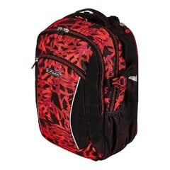 Herlitz рюкзак Ultimate - Graffiti, 24 л цена и информация | Школьные рюкзаки, спортивные сумки | hansapost.ee