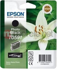 Epson T0591 hind ja info | Tindiprinteri kassetid | hansapost.ee