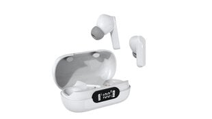 Bluetooth Kõrvaklapid Denver Electronics TWE-40 hind ja info | Kõrvaklapid | hansapost.ee