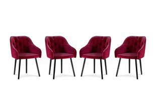 4-tooli komplekt Milo Casa Luisa, punane hind ja info | Köögitoolid, söögitoolid | hansapost.ee