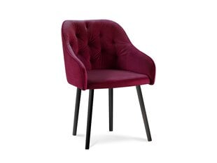 Комплект из 4-х стульев Milo Casa Luisa, красный цена и информация | Стулья для кухни и столовой | hansapost.ee