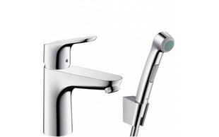 Valamusegisti Hansgrohe focus 100 bideega hind ja info | Vannitoa segistid | hansapost.ee