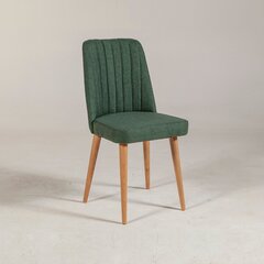 Обеденный стул Kalune Design 869, зеленый цена и информация | Стулья для кухни и столовой | hansapost.ee
