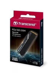 Transcend TS1TMTE250H цена и информация | Внутренние жёсткие диски (HDD, SSD, Hybrid) | hansapost.ee