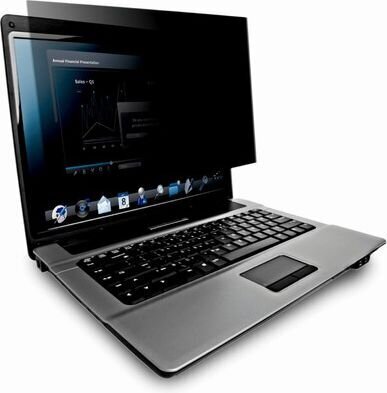 3M PF125W9B цена и информация | Sülearvuti tarvikud | hansapost.ee