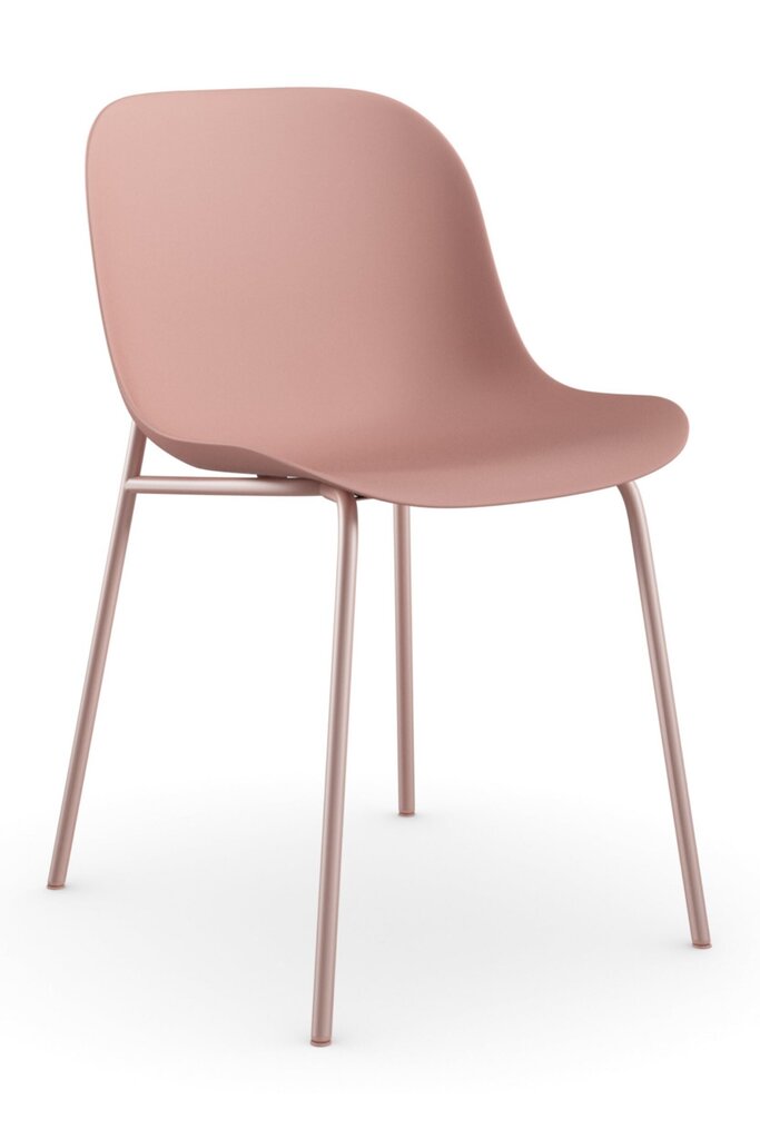 2-tooli komplekt Notio Living Orca, roosa цена и информация | Köögitoolid, söögitoolid | hansapost.ee