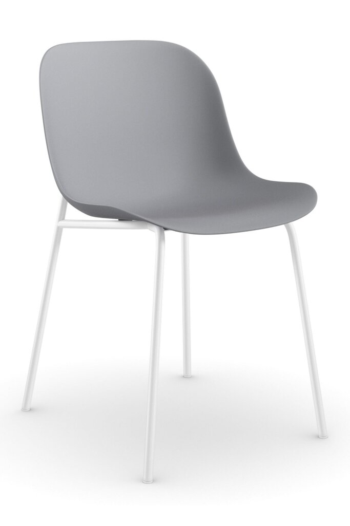 2-tooli komplekt Notio Living Orca, hall/valge hind ja info | Köögitoolid, söögitoolid | hansapost.ee
