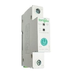 Умный 1-канальный переключатель WIFI 63A Sonoff HS081973 цена и информация | Системы безопасности, контроллеры | hansapost.ee
