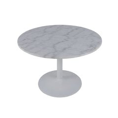 Обеденный стол Tarifa, белый/серый цена и информация | Кухонные и обеденные столы | hansapost.ee
