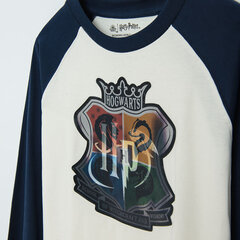 Cool Club kampsun poistele Harry Potter LCB2721453, erinevad värvid hind ja info | Kampsunid, vestid ja jakid poistele | hansapost.ee