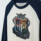 Cool Club kampsun poistele Harry Potter LCB2721453, erinevad värvid цена и информация | Kampsunid, vestid ja jakid poistele | hansapost.ee