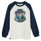 Cool Club kampsun poistele Harry Potter LCB2721453, erinevad värvid цена и информация | Kampsunid, vestid ja jakid poistele | hansapost.ee