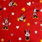 Voodipesukomplekt Minnie Red Heart, 140x200 cm, 2-osaline цена и информация | Laste voodipesu | hansapost.ee