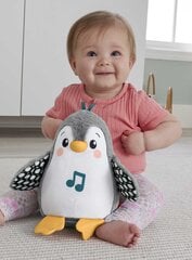 Pingviin Fisher Price hind ja info | Beebide mänguasjad | hansapost.ee