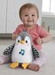 Pingviin Fisher Price цена и информация | Beebide mänguasjad | hansapost.ee