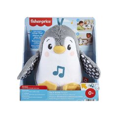 Pingviin Fisher Price hind ja info | Beebide mänguasjad | hansapost.ee