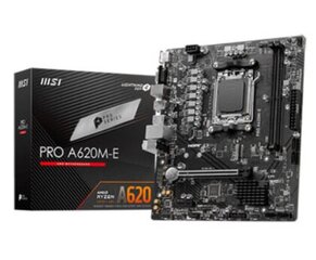 MSI PRO A620M-E hind ja info | Emaplaadid | hansapost.ee