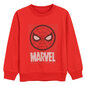 Cool Club pusa poistele Spider Man LCB2711464 цена и информация | Kampsunid, vestid ja jakid poistele | hansapost.ee