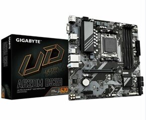 Gigabyte A620M DS3H 1.0 цена и информация | Материнские платы | hansapost.ee