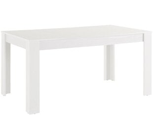 Стол обеденный Notio Living Lori 160 см, белый цена и информация | Кухонные и обеденные столы | hansapost.ee