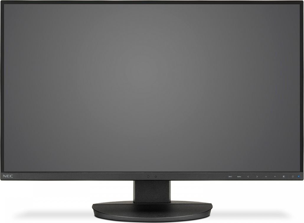 NEC 60004303 цена и информация | Monitorid | hansapost.ee