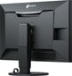 Eizo CG319X цена и информация | Monitorid | hansapost.ee