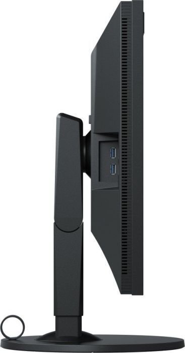 Eizo CG319X цена и информация | Monitorid | hansapost.ee