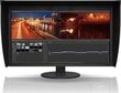 Eizo CG319X hind ja info | Monitorid | hansapost.ee