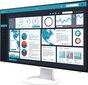 Eizo FlexScan EV2495 цена и информация | Monitorid | hansapost.ee