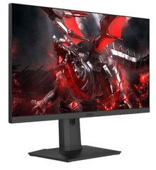 MSI Optix G253PF hind ja info | Monitorid | hansapost.ee