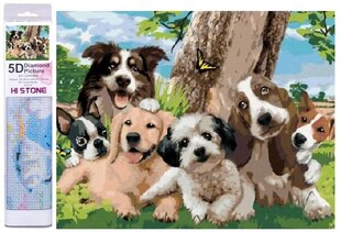 Алмазная мозаика - семейство собак цена и информация | Алмазная мозаика | hansapost.ee
