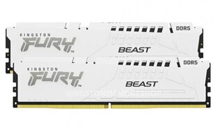 Kingston FURY Beast RD-DDR5-KNG-125 цена и информация | Объём памяти (RAM) | hansapost.ee