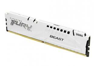 Kingston FURY Beast RD-DDR5-KNG-125 цена и информация | Объём памяти | hansapost.ee