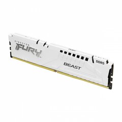 Kingston KF560C36BWE-32 цена и информация | Объём памяти | hansapost.ee