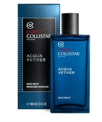 Tualettvesi Collistar Vetiver EDT meestele, 100 ml цена и информация | Мужские духи | hansapost.ee