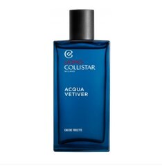 Tualettvesi Collistar Vetiver EDT meestele, 100 ml цена и информация | Мужские духи | hansapost.ee