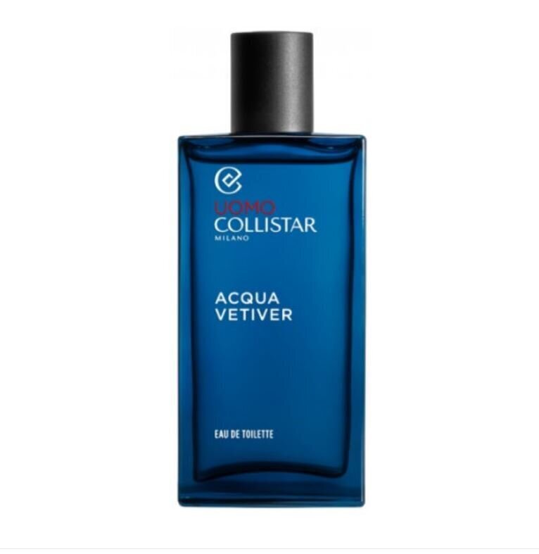 Tualettvesi Collistar Vetiver EDT meestele, 100 ml hind ja info | Parfüümid meestele | hansapost.ee