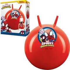 Тренировочный мяч Spider Man цена и информация | Уличные игры | hansapost.ee
