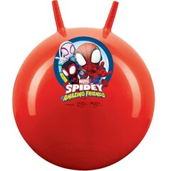 Тренировочный мяч Spider Man цена и информация | Уличные игры | hansapost.ee