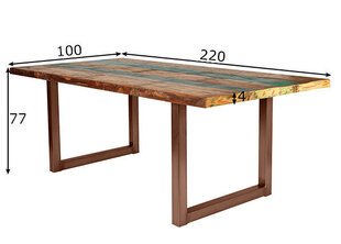 Oбеденный стол Tisch, 100x200 см, антично-коричневый цена и информация | Кухонные и обеденные столы | hansapost.ee