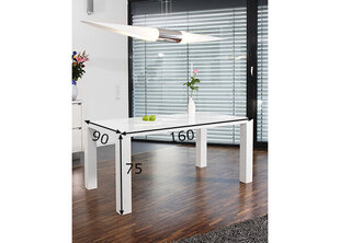 Обеденный стол  90x160 см цена и информация | Кухонные и обеденные столы | hansapost.ee